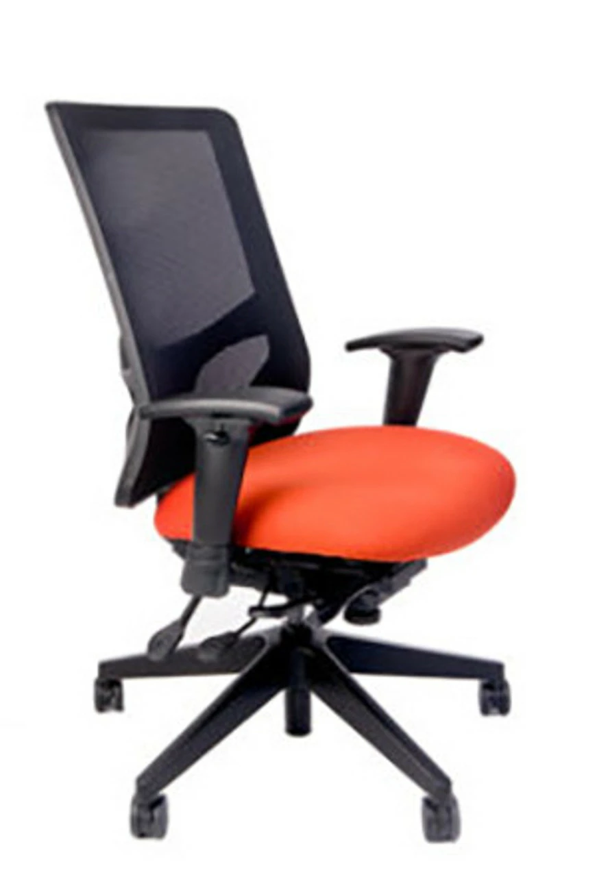 RFM Evolve 15355 Manager's High Back Task Chair 2 RFM Evolve 15355 Manager's High Back Task Chair