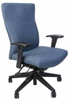 RFM Trademark 25355 Manager's High Back Task Chair