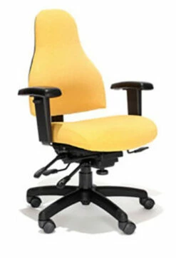 RFM Carmel 82155 Medium Back Task Chair
