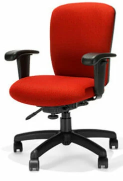 RFM Rainier R2 Medium Back Task Chair