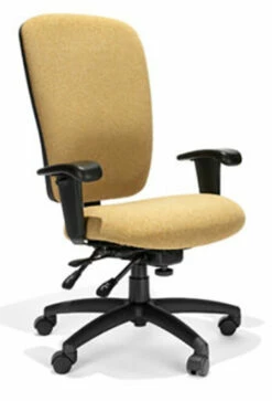 RFM Rainier R4 Manager's High Back Task Chair