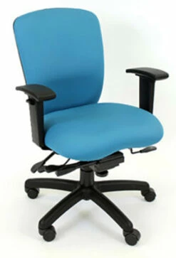 RFM Rainier R6 Medium Back Task Chair